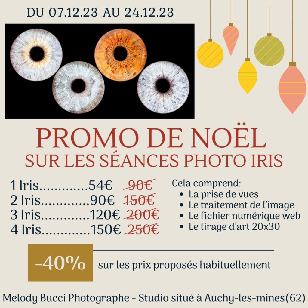 promo noel 2023 seance photo iris melody bucci photographe